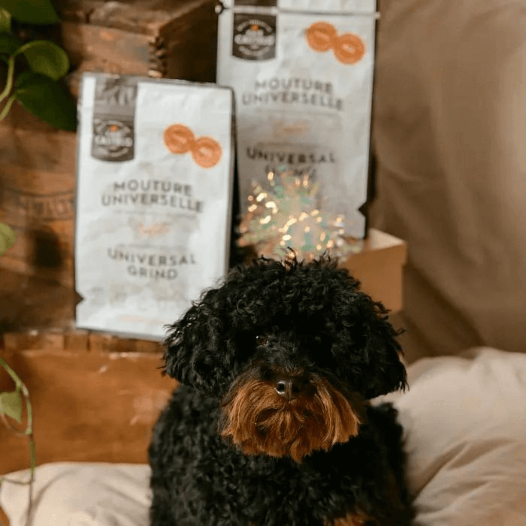 Castelo Universal Coffee Grinder: the perfect gift for everyone