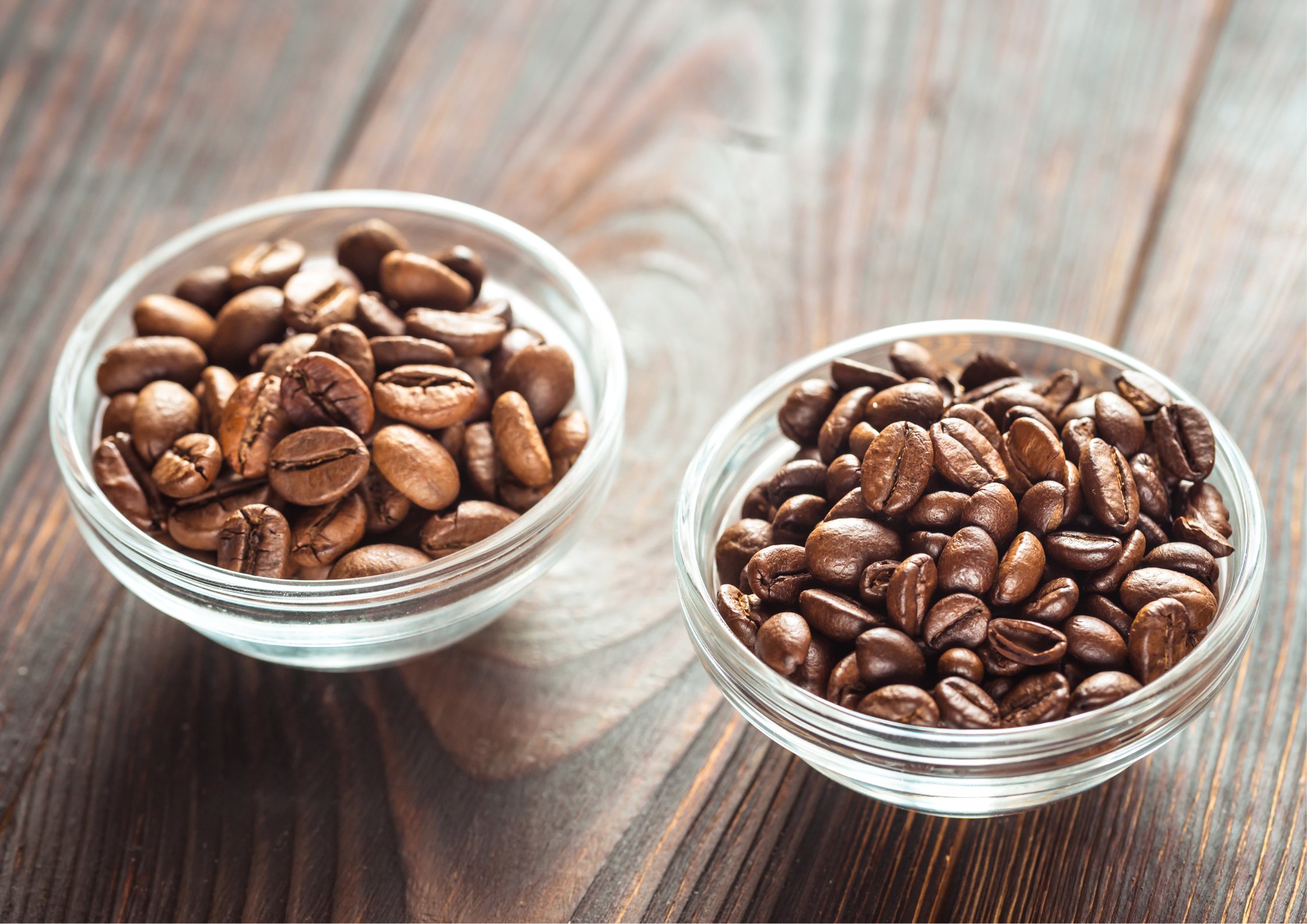 Arabica coffee vs. Robusta coffee