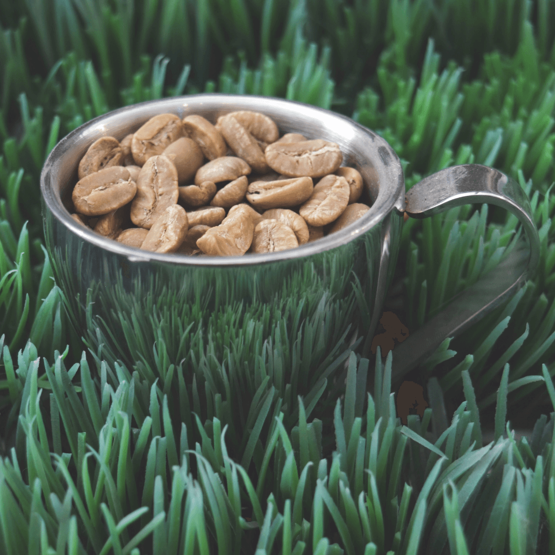 Les mythes sur le café