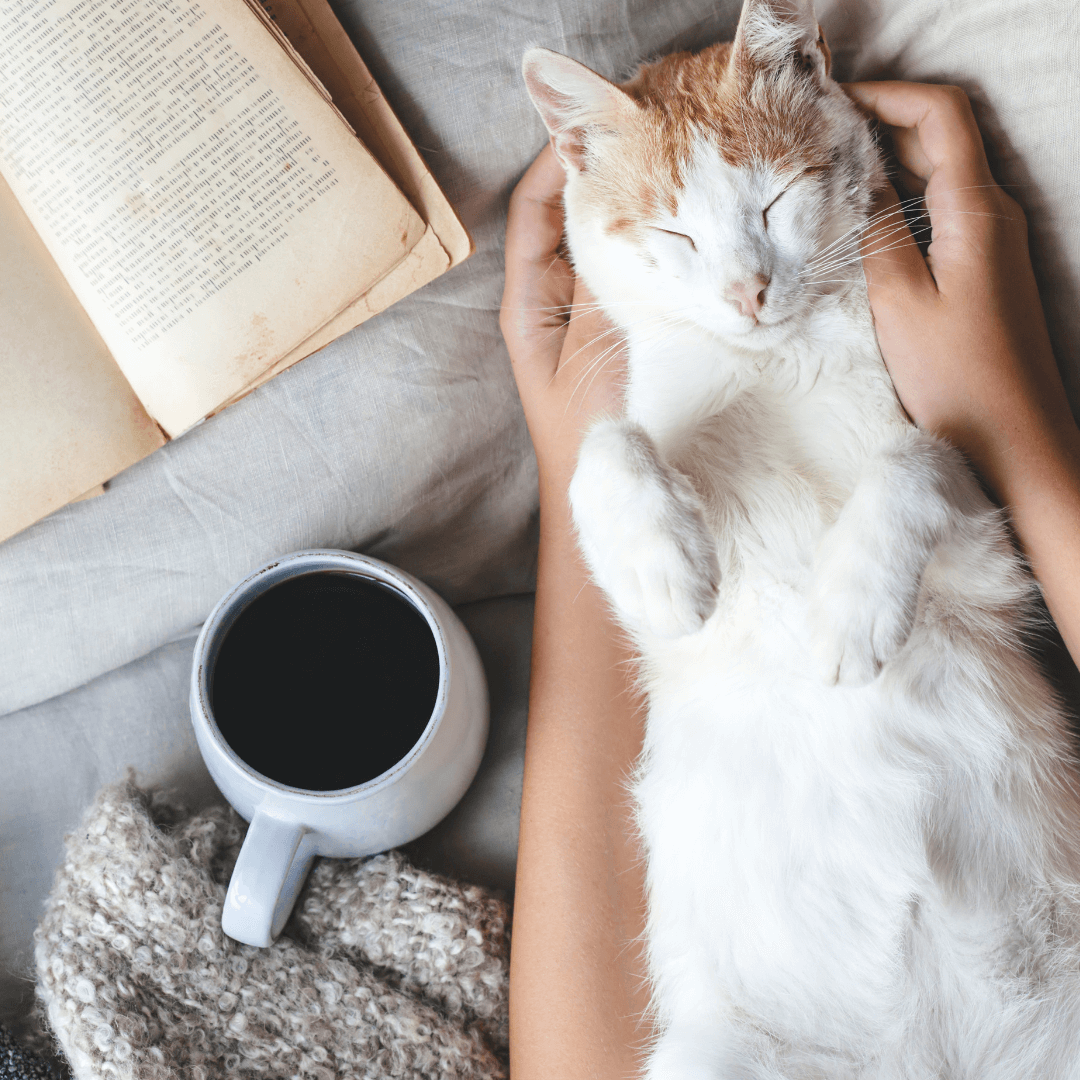 améliorer ses habitudes de vie