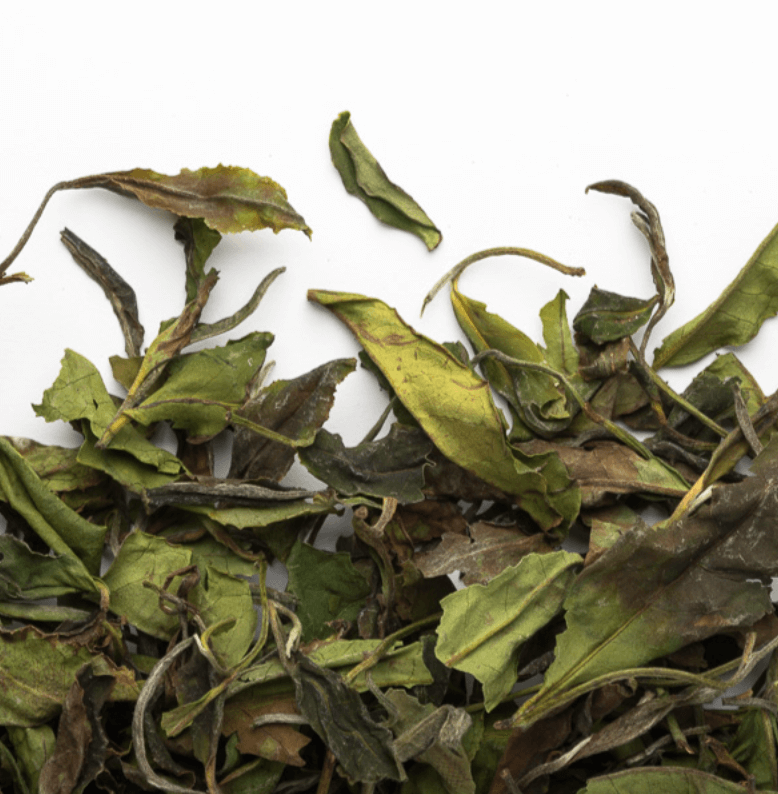 Bai Mu Dan - thé blanc