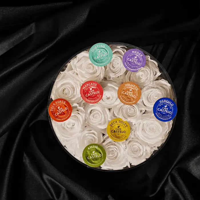 Boîte dégustation - Capsules compatibles avec Nespresso ORIGINAL