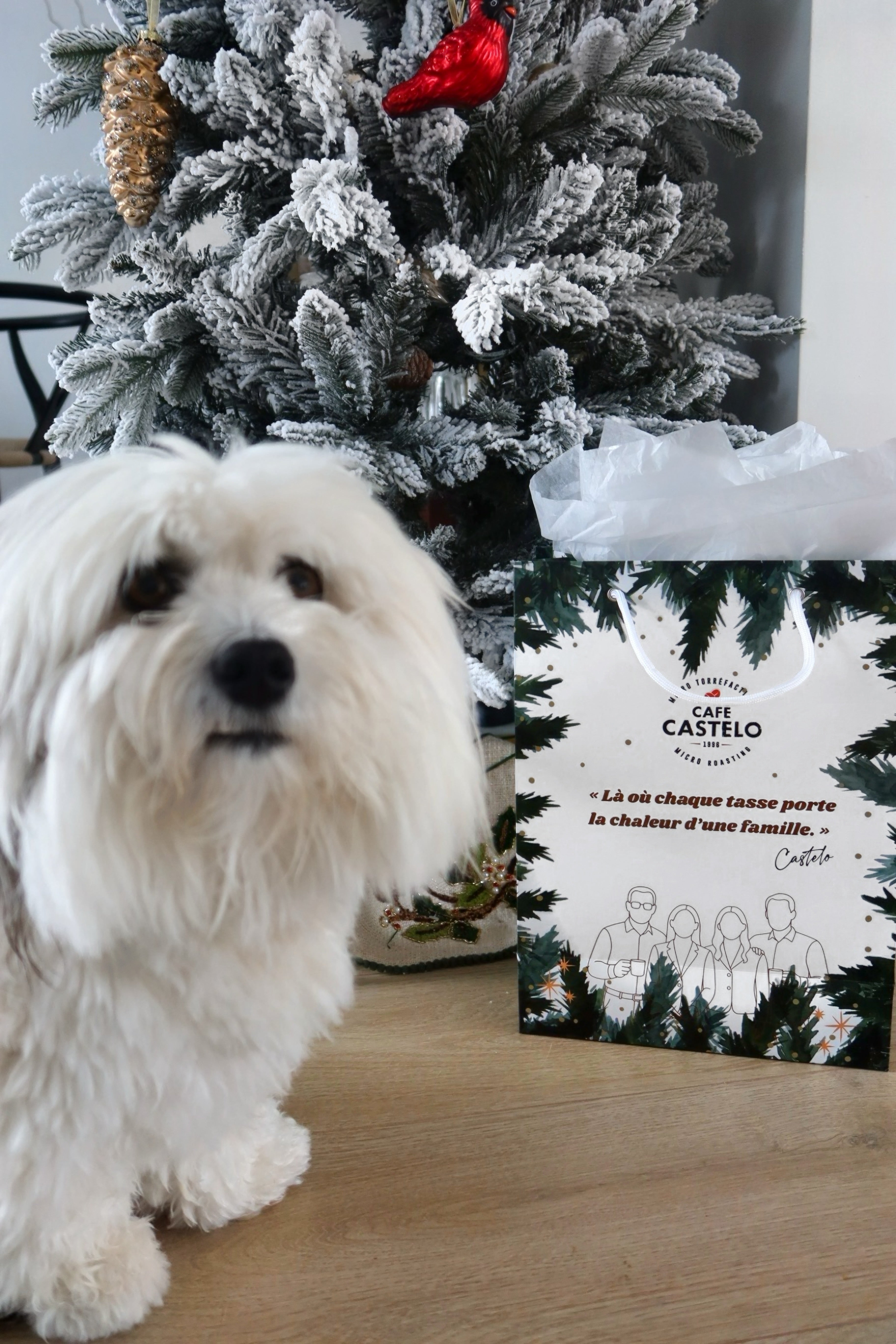 Sac cadeau - Temps des fêtes