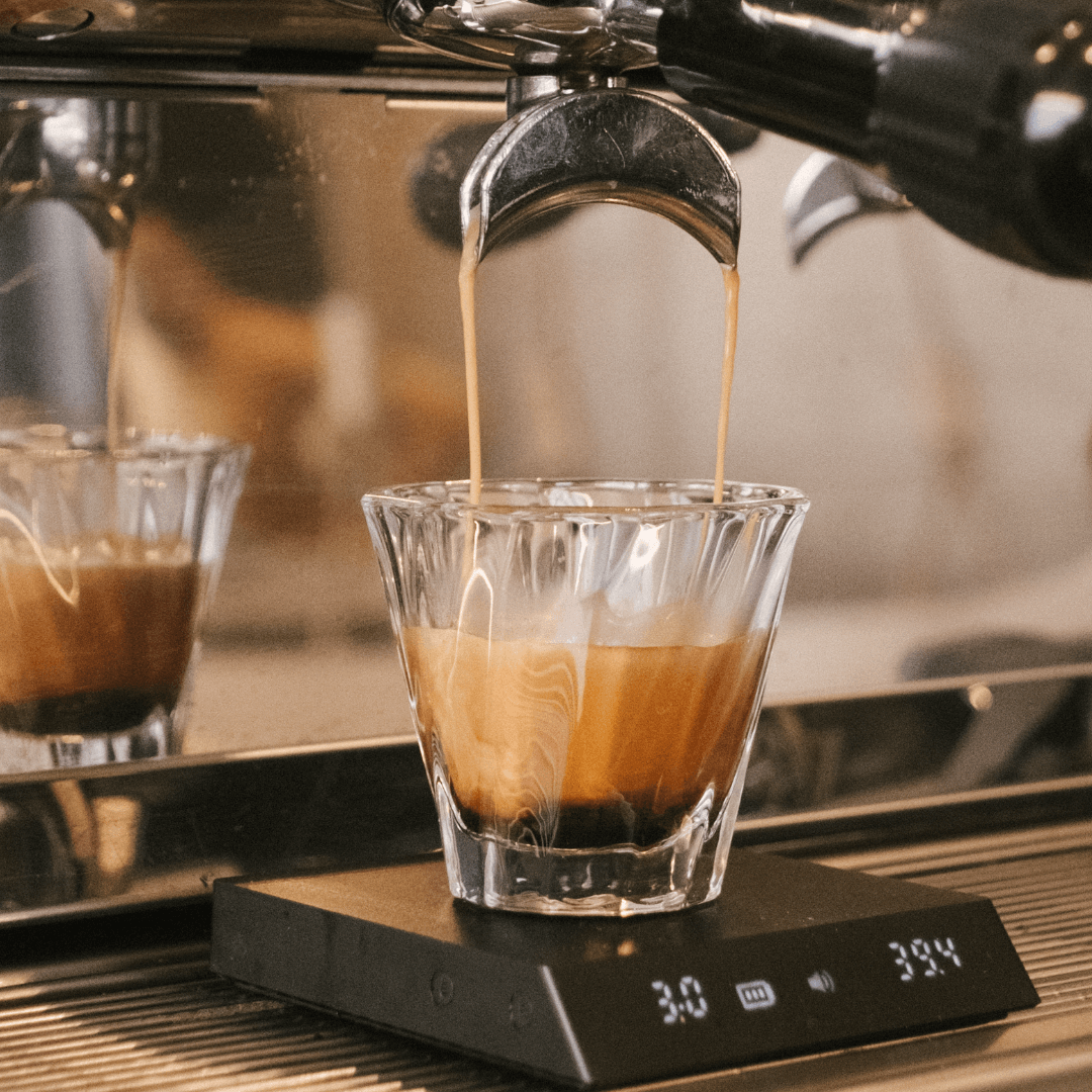 How to choose your coffee maker in 2025 - Manual machine