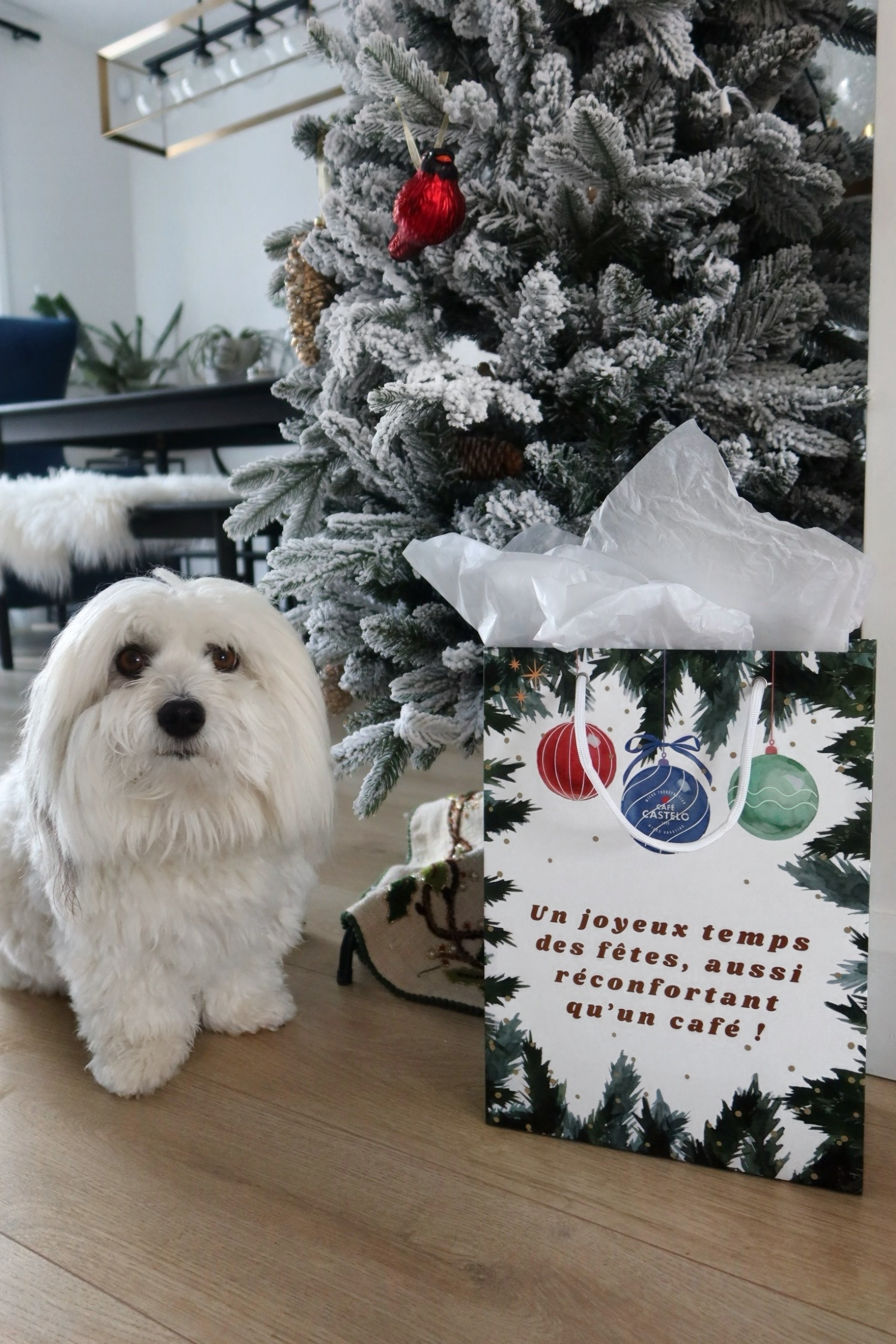 Sac cadeau - Temps des fêtes